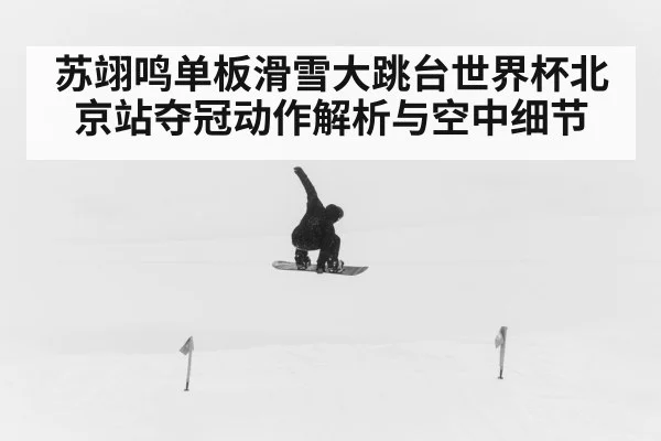 苏翊鸣单板滑雪大跳台世界杯北京站夺冠动作解析与空中细节