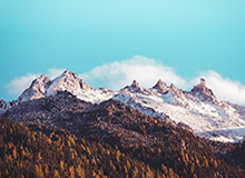 开云官方网站-欧冠16强：四大联赛独缺曼联国米 西甲德甲各占4席